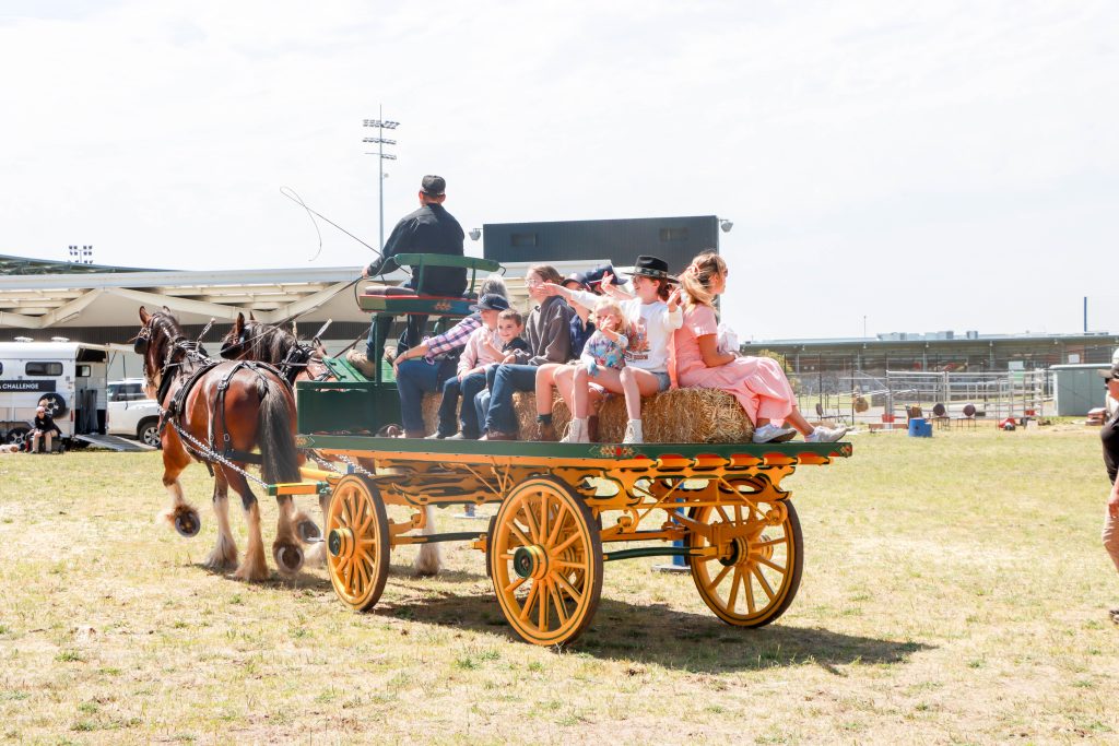 People riding horse-drawn wagon at outdoor event