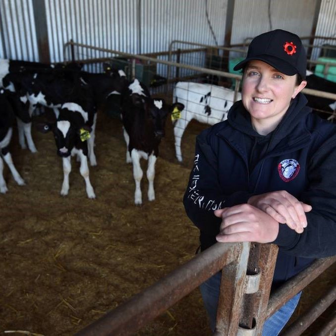 Woman on farm with calves in barn.