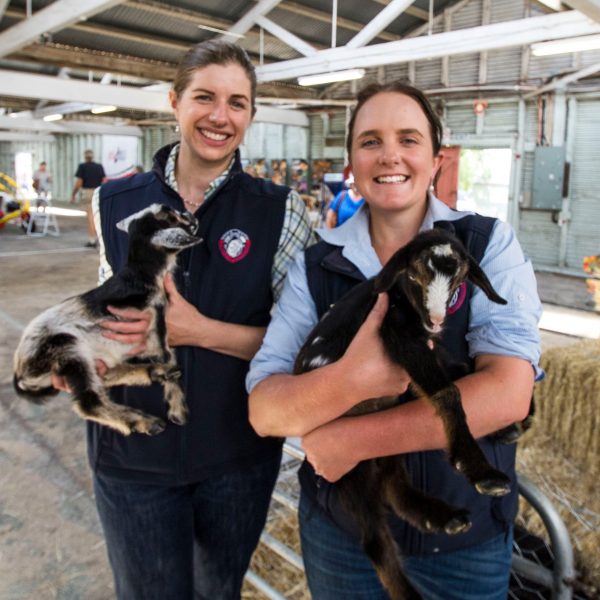 506531034_9066110383492145_7763148677541934432_n